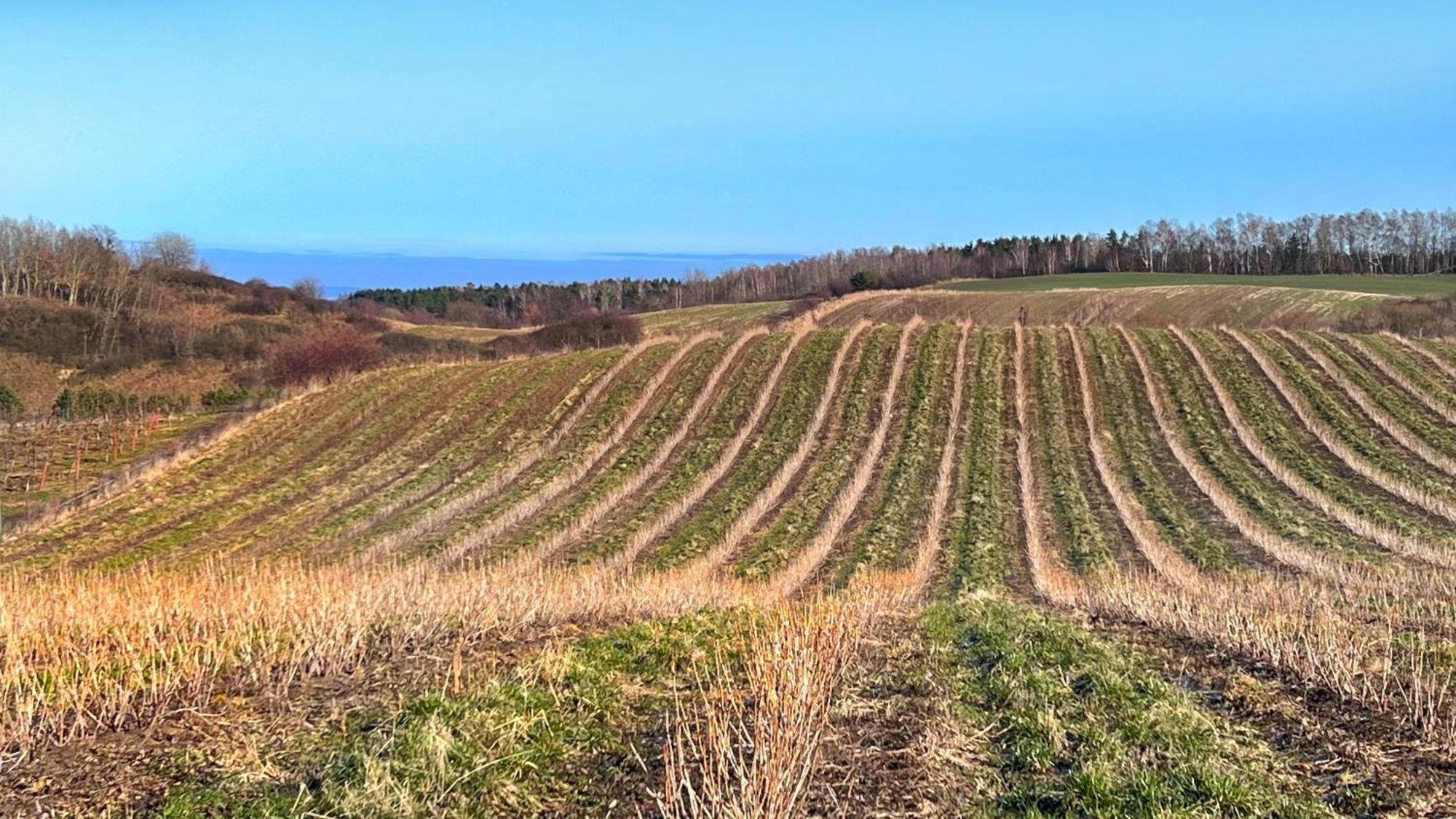Osada Nad Zalewem Vila Tolkmicko Exterior foto
